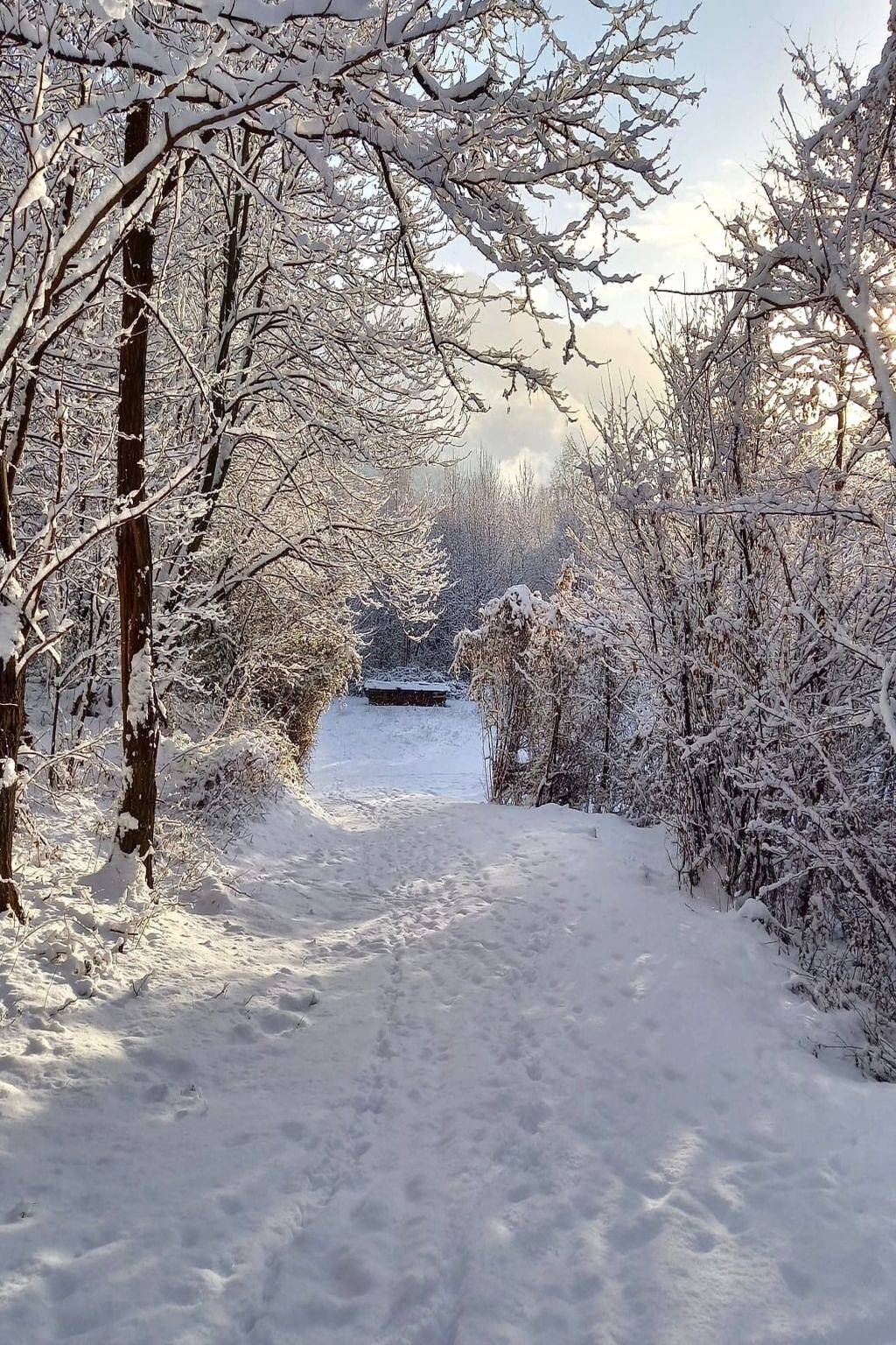 Rustico Raslina in Faido, Lepontinische Alpen
