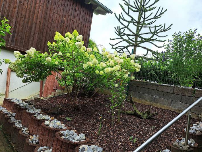 Ferienwohnung für 4 Personen, mit Balkon und Garten, kinderfreundlich im Westerwald - 4