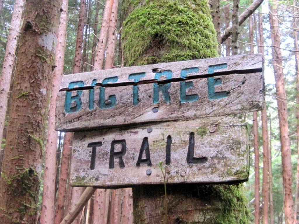 Alert Bay Lodge - Waterfront Unterkunft in Alert Bay, Bc - Gartenblick mit Loft und warmem Frühstück in Alert Bay, Regional District of Mount Waddington
