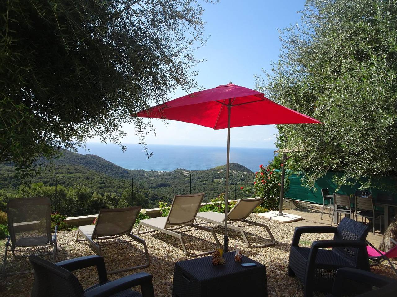 L'Alivetu in Farinole, Région de Calvi