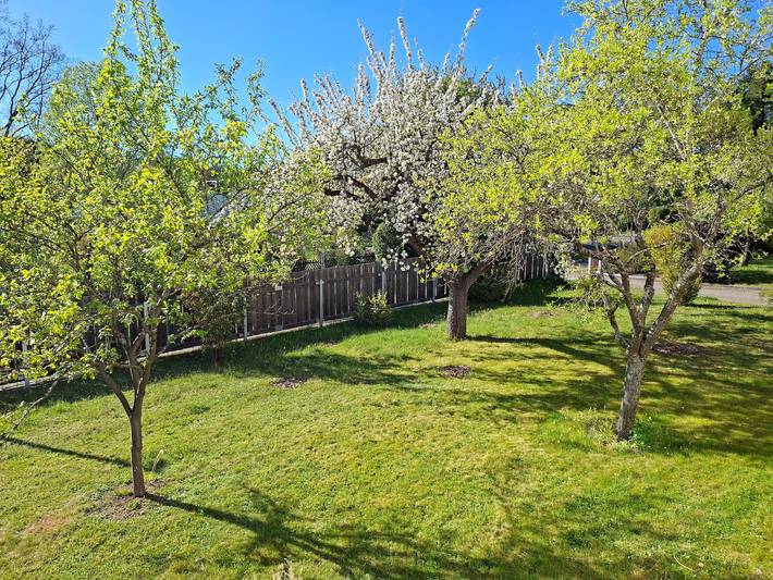 Ferienwohnung für 4 Personen, mit Balkon und Balkon/Terrasse sowie Garten in Pleinfeld - 3