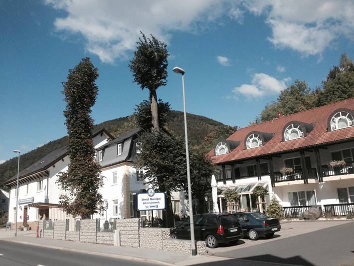 Hotel für 4 Personen, mit Terrasse und Garten sowie Sauna und Ausblick in Sonneberg - 2