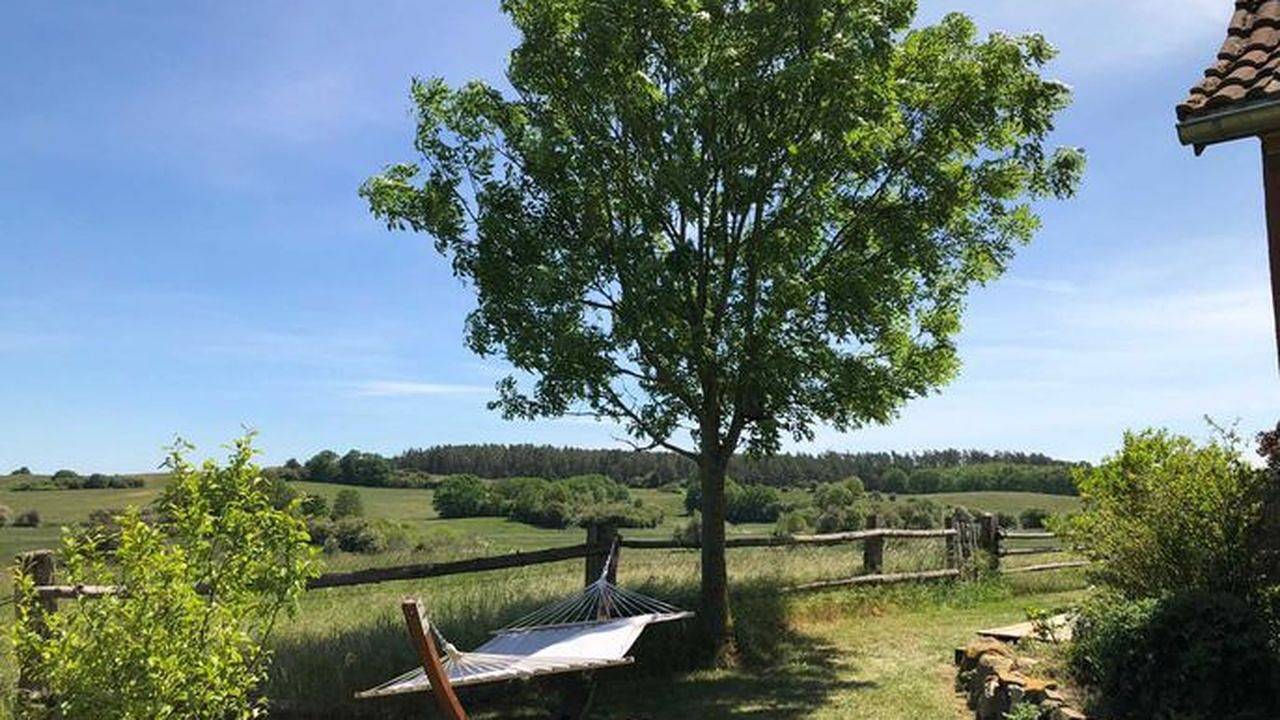 Ganze Ferienwohnung, Ferienwohnung für 4 Personen (65 m²) in Klein Vielen in Klein Vielen, Mecklenburg-Strelitz