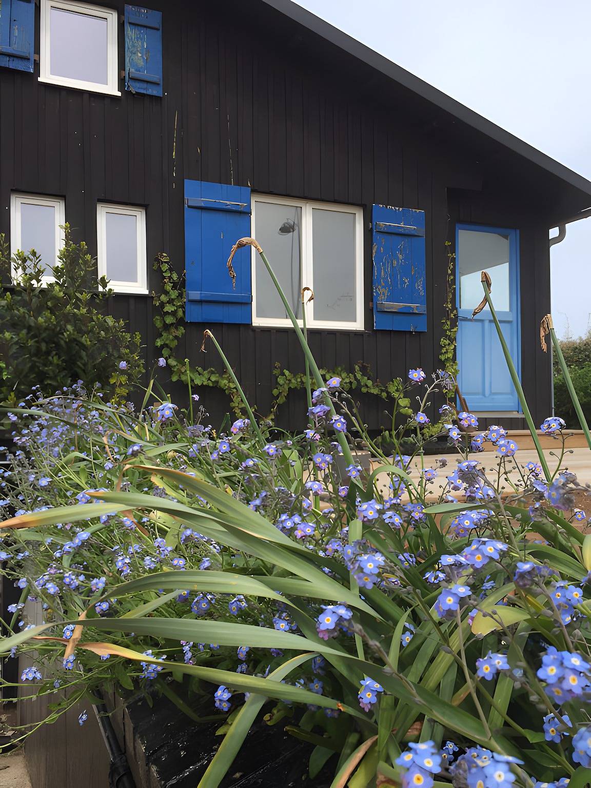 Chalet « Gîte Villaquiber, el mar a 15 metros » in Quiberville, Región de Dieppe