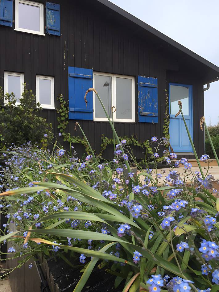 Chalet pour 6 personnes, avec jardin, animaux acceptés en Seine-Maritime - 4
