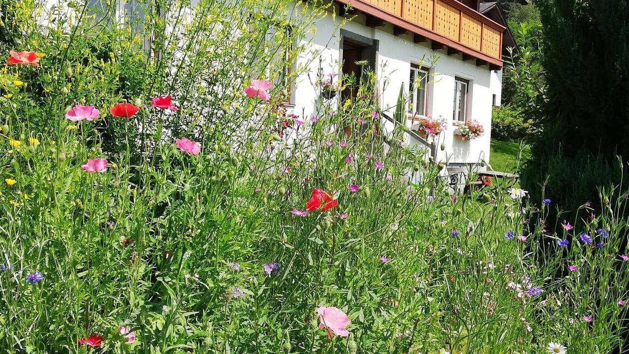 Entire holiday apartment, Ferienwohnung für 6 Personen (90 m²) in Schladming in Schladming, Schladming-Dachstein