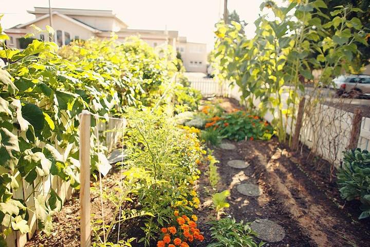 Vacation rental for 4 people, with terrace and yard in Newberg