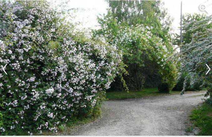Chambre d’hôte pour 9 personnes, avec vue ainsi que terrasse et jardin en Seine-Maritime - 4