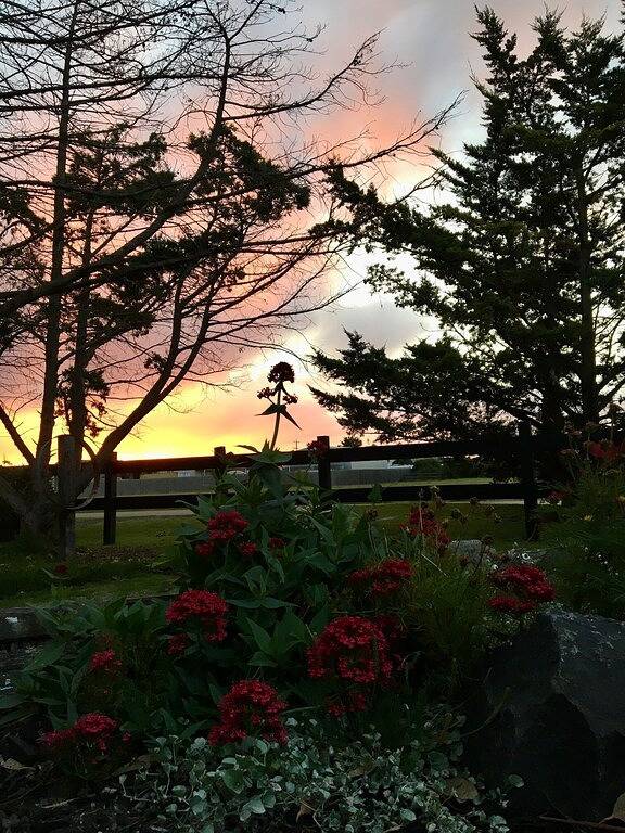 Gowrie Guest House - Where hospitality meets the sea! in Shire of Wellington