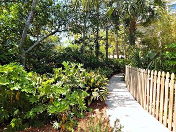 Vacation House for 4 Guests in Folly Beach, South Carolina, Picture 4