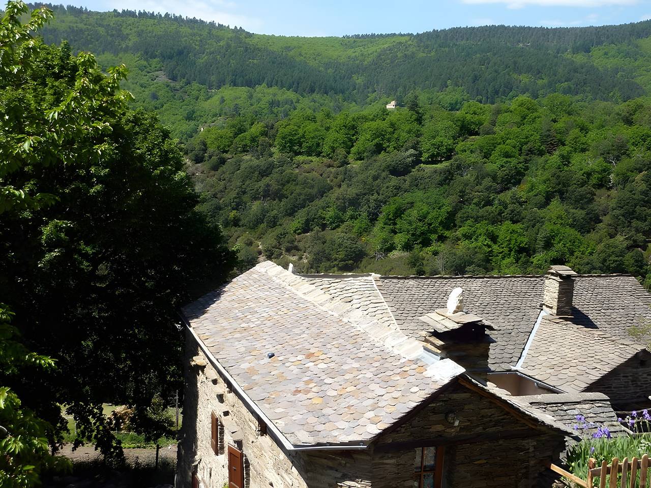 Chambres et table d'hôtes de vernet - frêne in Saint-Germain-de-Calberte, Parc national des Cévennes