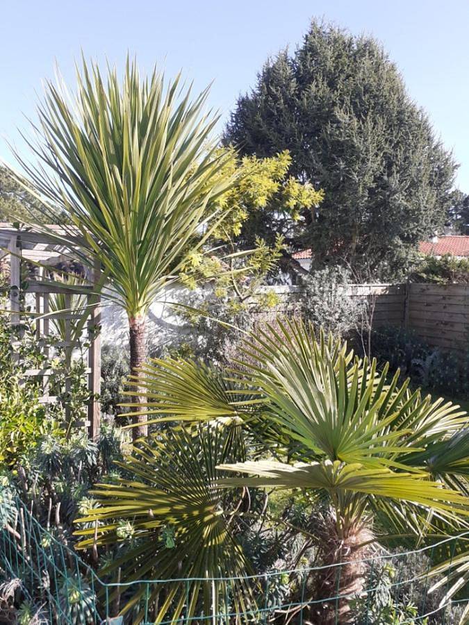 Chambre d’hôte pour 3 personnes, avec Terrasse ainsi que Jardin et Vue à Saint-Jean-de-Monts