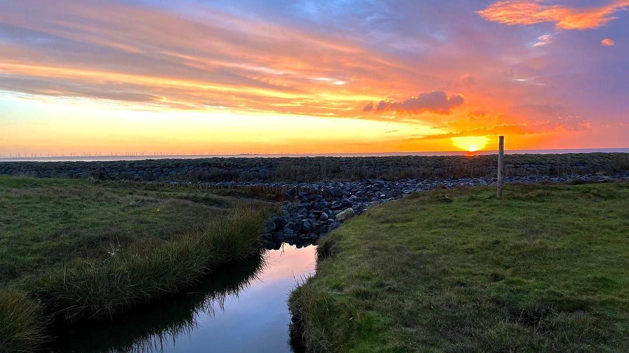 Ganze Ferienwohnung, Ferienwohnung für 3 Personen (55 m²) in Langeneß in Langeneß, Halligen
