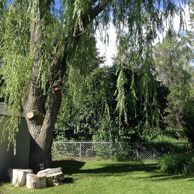 Ihr Authentisches Seehaus Erwartet Sie :) in Kootenay-Nationalpark