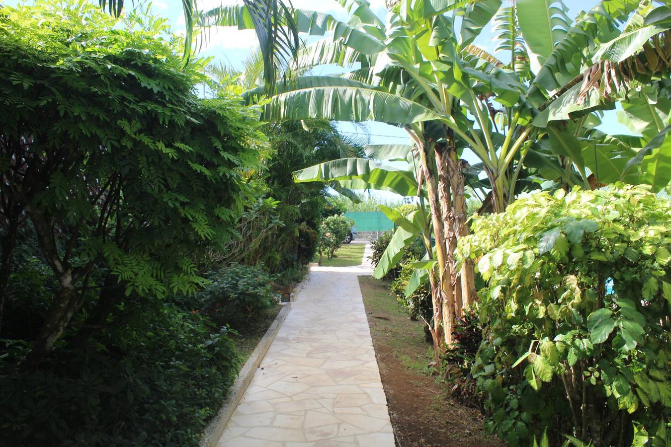 Gite avec piscine à 900m de la plage pour 2 pers. in Sainte-Rose, Guadeloupe