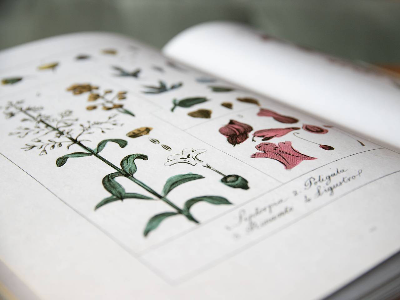 Quinette in Ovronnaz, Leytron