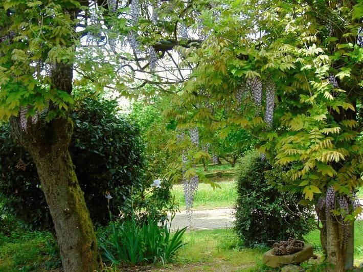 Location de vacances pour 3 personnes, avec terrasse ainsi que jardin et vue à Baleyssagues - 3