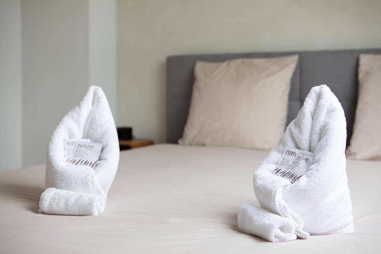 Appartement entier, Sublime Loft, Spa & Sauna - Idéal à Belfort in Belfort, Territoire de Belfort