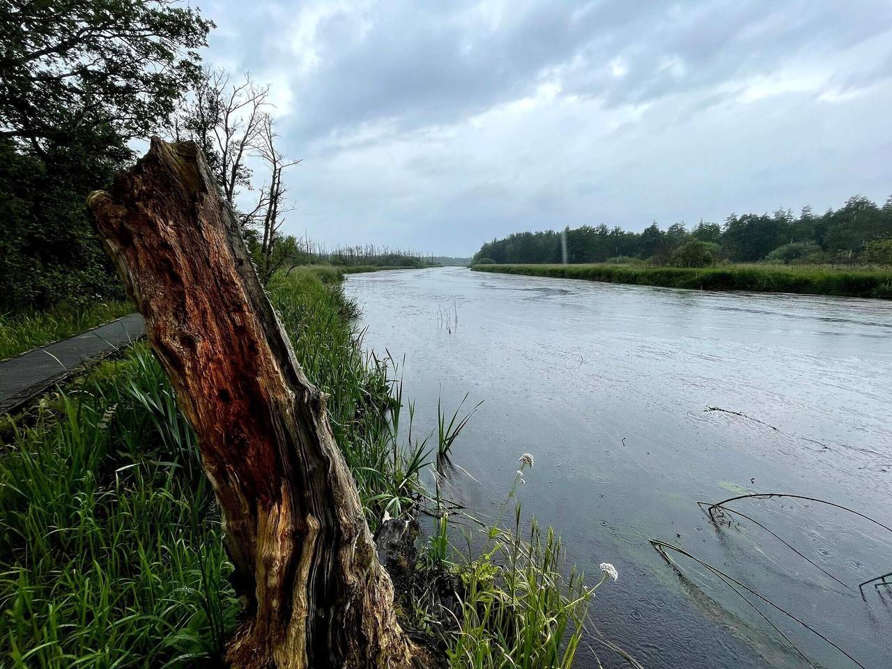 4 stjernet sommerhus i Fårvang in Silkeborg Kommune