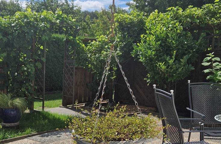 Ferienwohnung für 2 Personen, mit Garten in Bad Doberan - 3