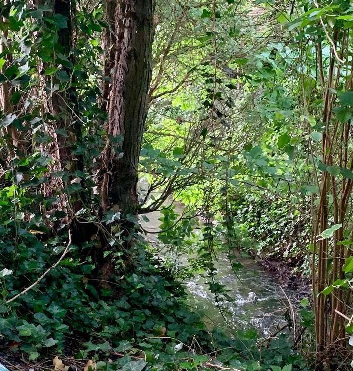 Gîte pour 2 personnes, avec jardin et vue dans Tourneppe