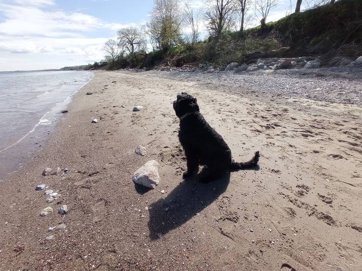 Ferienhaus für 6 Personen, mit Garten, mit Haustier in Steinberg - 4