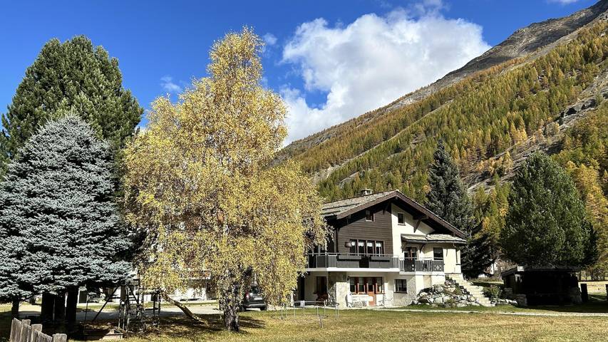 Gîte pour 3 personnes, avec terrasse ainsi que vue et jardin, animaux acceptés à Saas-Grund - 3