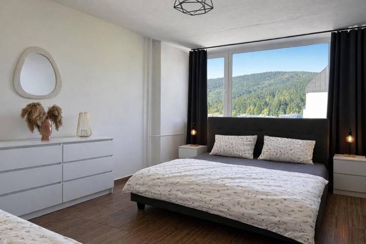 Ferienwohnung für 4 Personen in Spindlermühle