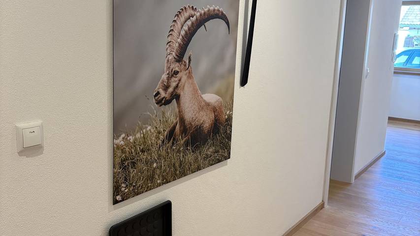 Ferienwohnung für 4 Personen, mit Garten, mit Haustier in Obermaiselstein - 4