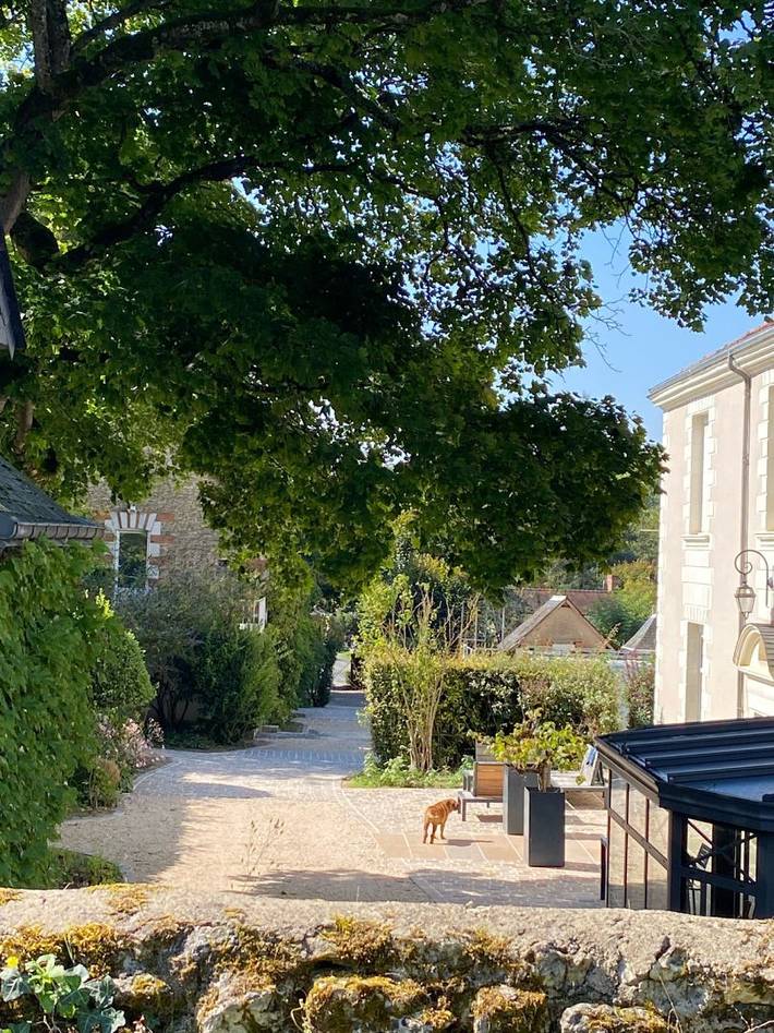 Chambre d’hôte pour 2 personnes, avec jardin à Civray-de-Touraine - 2