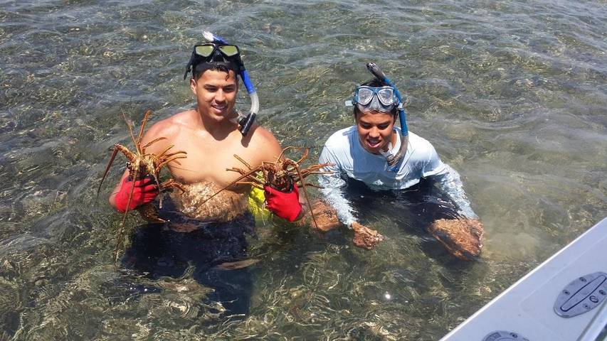 Camping pour 4 personnes, avec jacuzzi et piscine ainsi que jardin et bassin pour enfant, animaux acceptés dans Floride - 3