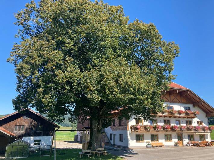 Ferienwohnung für 3 Personen, mit Balkon und Garten sowie Ausblick in Irrsee