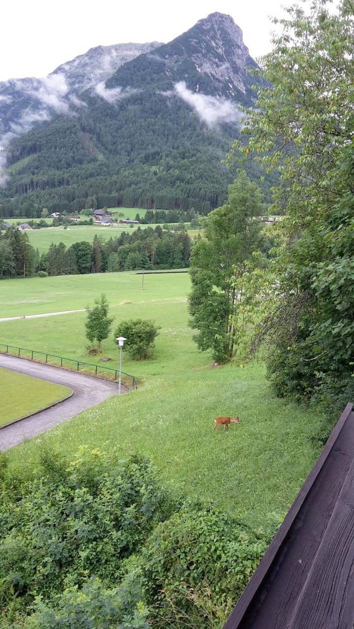 Ferienwohnung für 4 Personen, mit Pool und Balkon sowie Ausblick und Sauna in Bad Aussee - 4