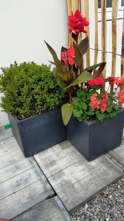 Location de vacances pour 3 personnes, avec jardin à Lambersart - 3