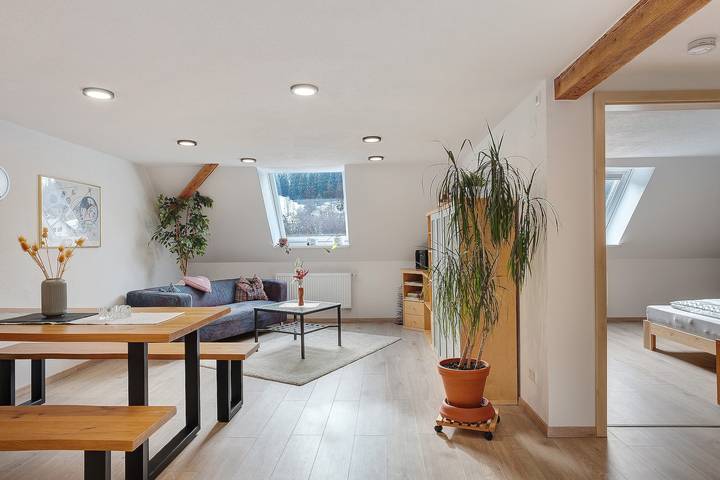 Ganze Wohnung, Apartment 'Haus An Der Breg' mit Wlan in Vöhrenbach, Mittlerer Schwarzwald