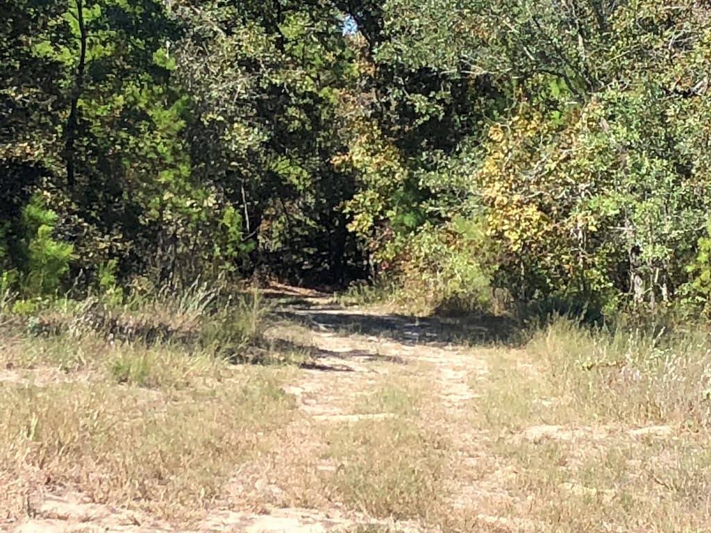 Spirit Warrior Tipi @ Music Springs in Wood County