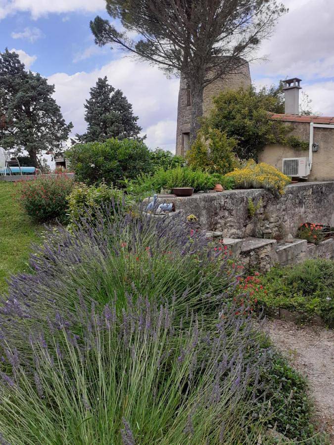 Maison de campagne pour 2 personnes, avec jardin ainsi que vue et piscine dans Occitanie - 4