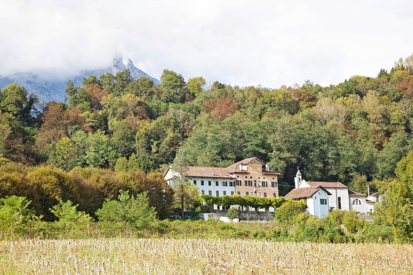 Apartamento entero, Apartamento 'Bivai - Chardonnay' con piscina compartida, jardín compartido y Wi-Fi in Santa Giustina, Grupo Cimonega