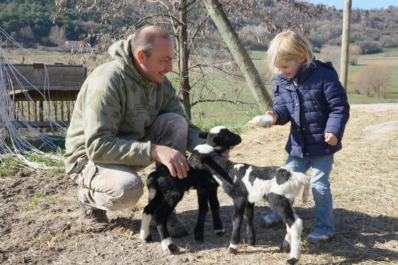 Domaine du Bas Chalus in Forcalquier, Parc naturel régional du Luberon