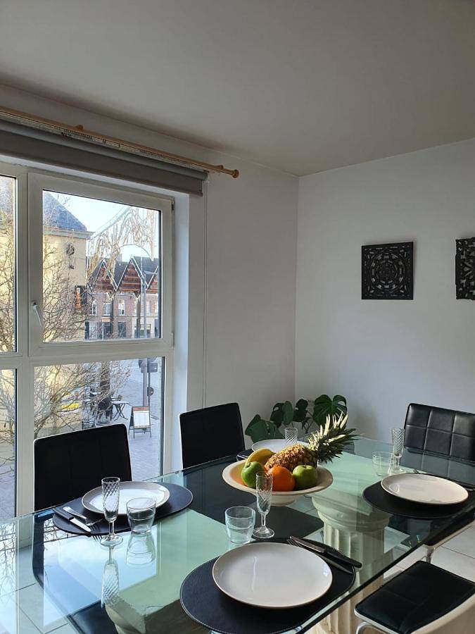 Gîte pour 4 personnes, avec vue et terrasse, animaux acceptés à Vilvorde - 3