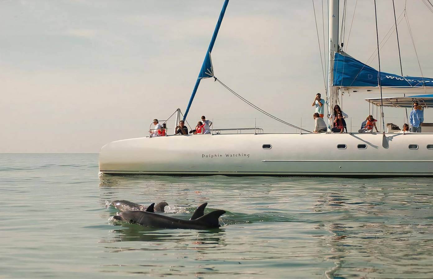 Luxury Troia Villa | 4 Bedrooms | Villa Comporta Iii | Short Drive from Beach | Perfect for Families in Praia da Comporta, Comporta