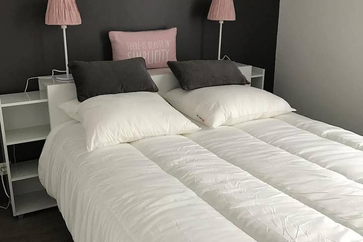 Location de vacances pour 6 personnes, avec jardin et terrasse, animaux acceptés dans Plage du Hôme - 4