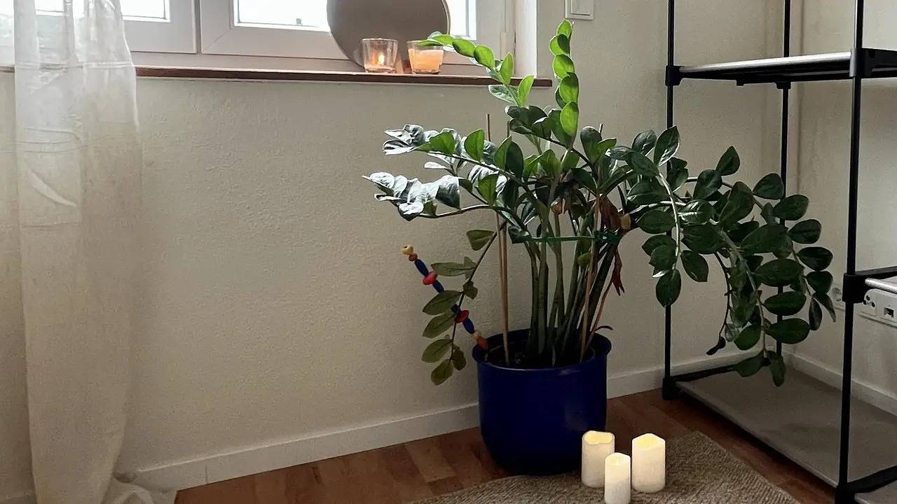 Ganze Ferienwohnung, Ferienwohnung für 2 Personen (42 m²) in Losheim Am See in Losheim am See, Saar-Nahe-Bergland