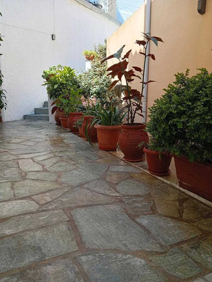 Gîte pour 2 personnes, avec Balcon et Terrasse dans Agios Ioannis (Zagora–Mouresi) - 4
