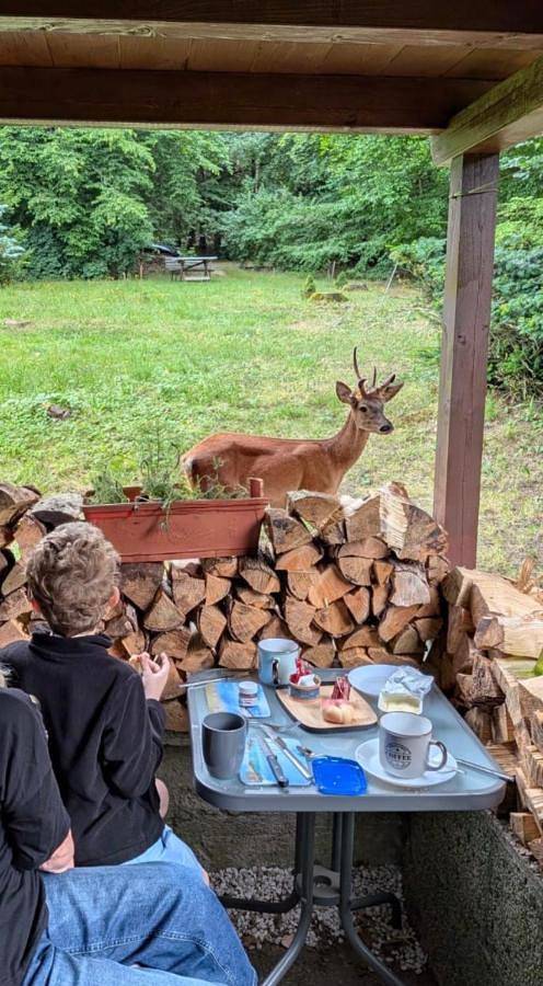 Ferienhaus für 2 Personen, mit Terrasse und Garten sowie Ausblick in Jonsdorf