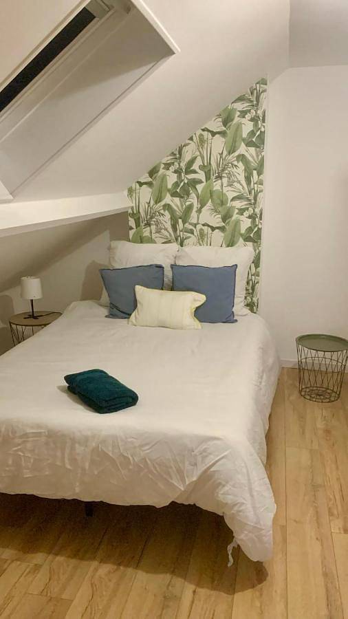 Location de vacances pour 20 personnes, avec terrasse à Lille - 2