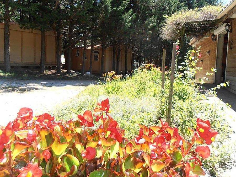 Camping le Matin Calme - Chalet 5 personnes - Confort in Vesc, Région de nyons