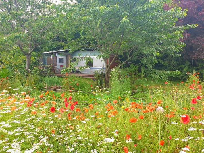 Camping pour 4 personnes, avec Balcon et Terrasse ainsi que Jardin et Vue à Mimizan - 2