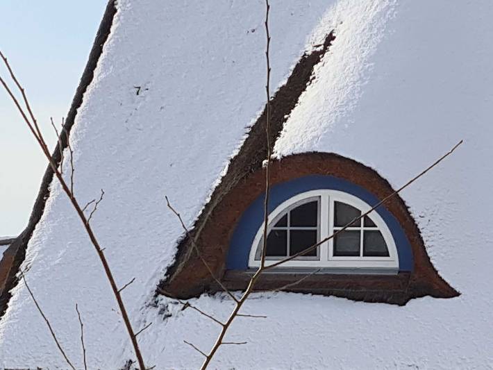 Ferienpark für 13 Personen, mit Garten, mit Haustier in Mecklenburg-Vorpommern - 4