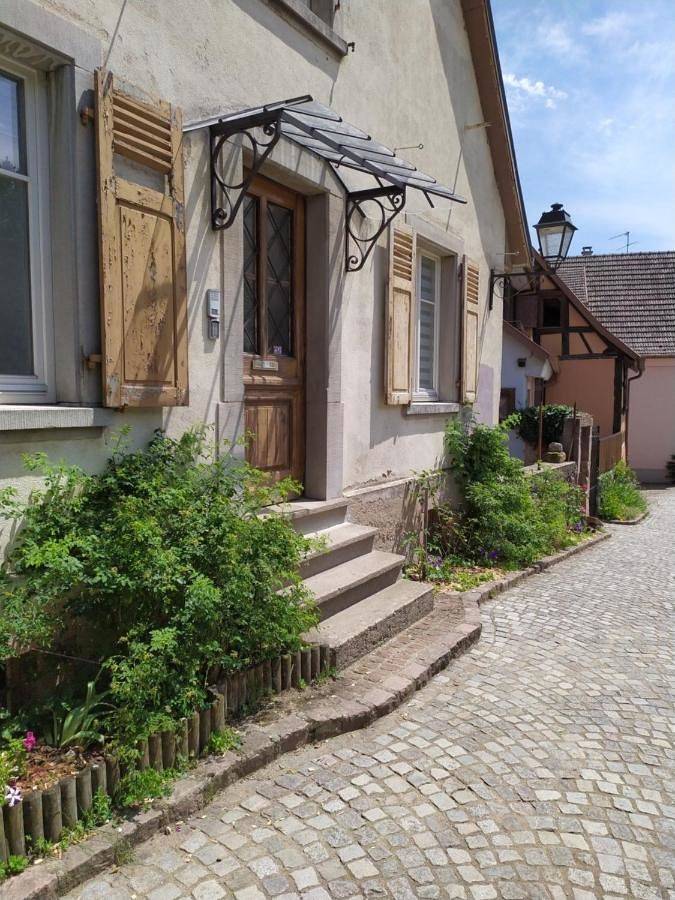Appartement entier, Apartment - La Grande Terrine in Kaysersberg, Parc naturel régional des Ballons des Vosges